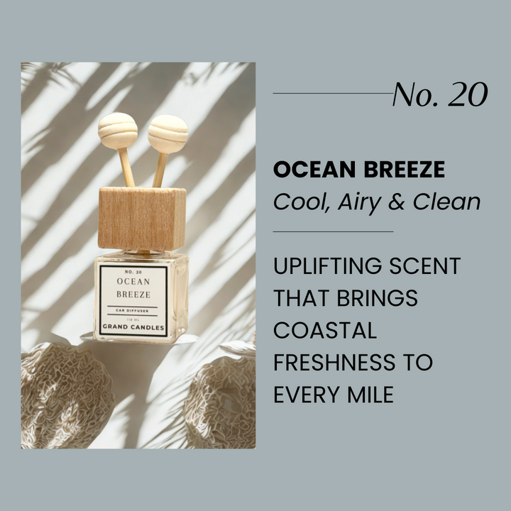 Ocean Breeze Car Diffuser