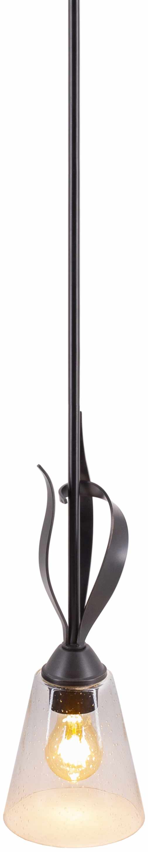 Pendant light fixture with clear glass shade and black metal design.

Collinswood Ceiling Light