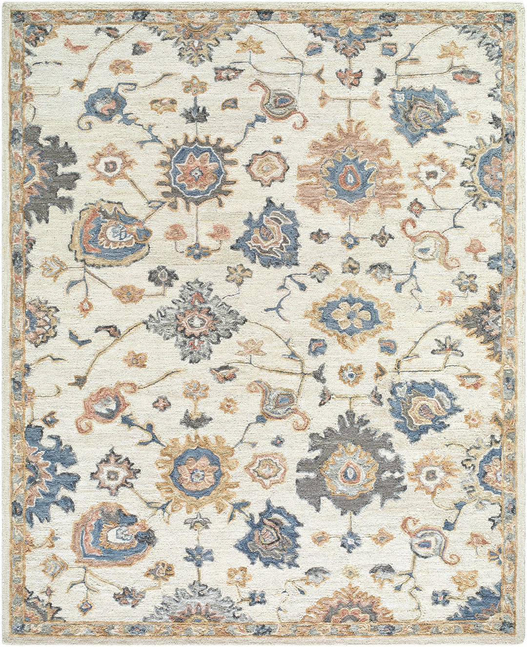 Candid Oushak Area Rug