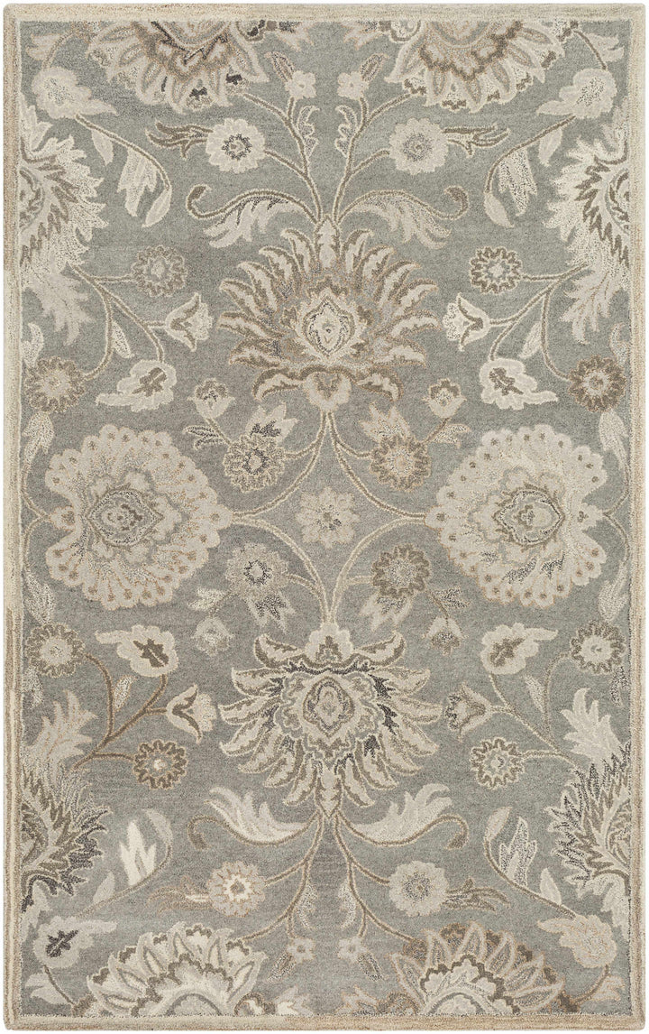 Decorative floral rug with intricate patterns on a gray background

Conesus 1195 Hand Tufted Ivory & Taupe Wool Rug