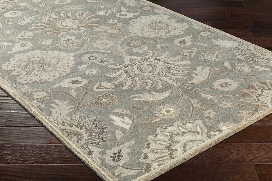 Decorative floral rug on a wooden floor

Conesus 1195 Hand Tufted Ivory & Taupe Wool Rug