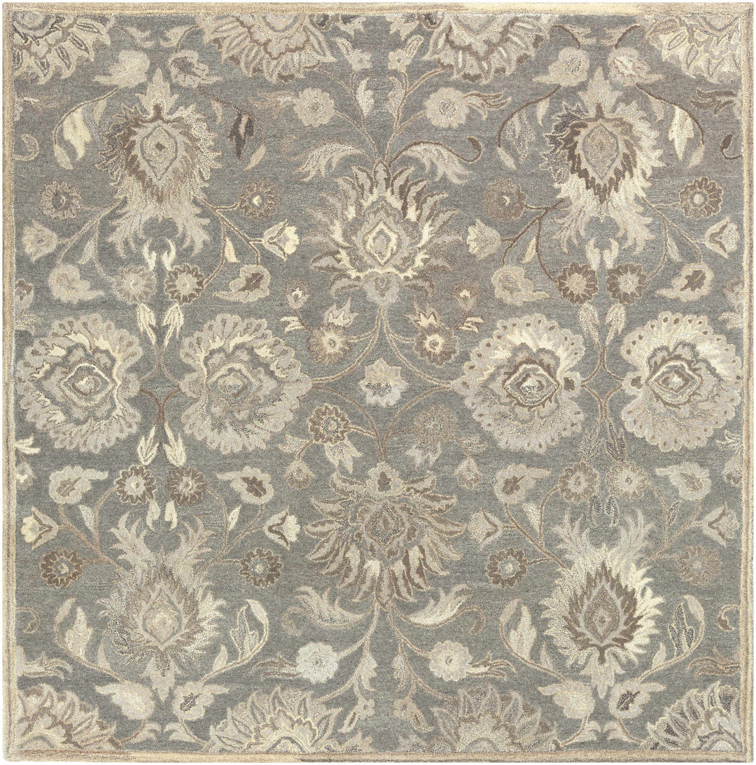 Floral patterned rug with intricate design on a gray background

Conesus 1195 Hand Tufted Ivory & Taupe Wool Rug