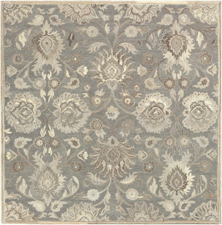 Floral patterned rug with intricate design on a gray background

Conesus 1195 Hand Tufted Ivory & Taupe Wool Rug