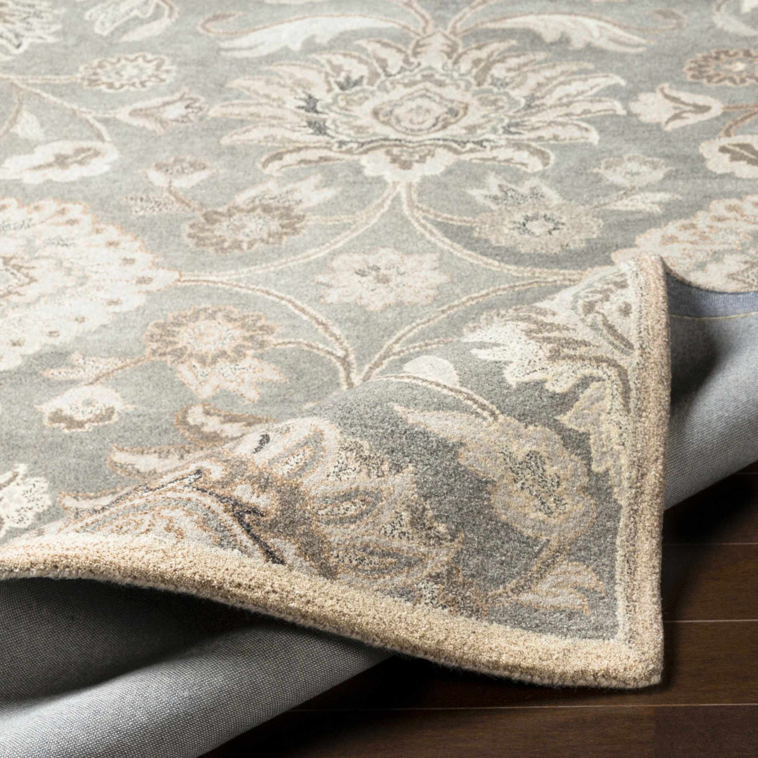 Close-up of a patterned rug with intricate designs on a wooden floor.

Conesus 1195 Hand Tufted Ivory & Taupe Wool Rug