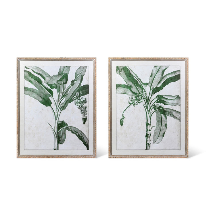 Blissful Banana Tree Framed Wall Art, 2 Assorted Styles