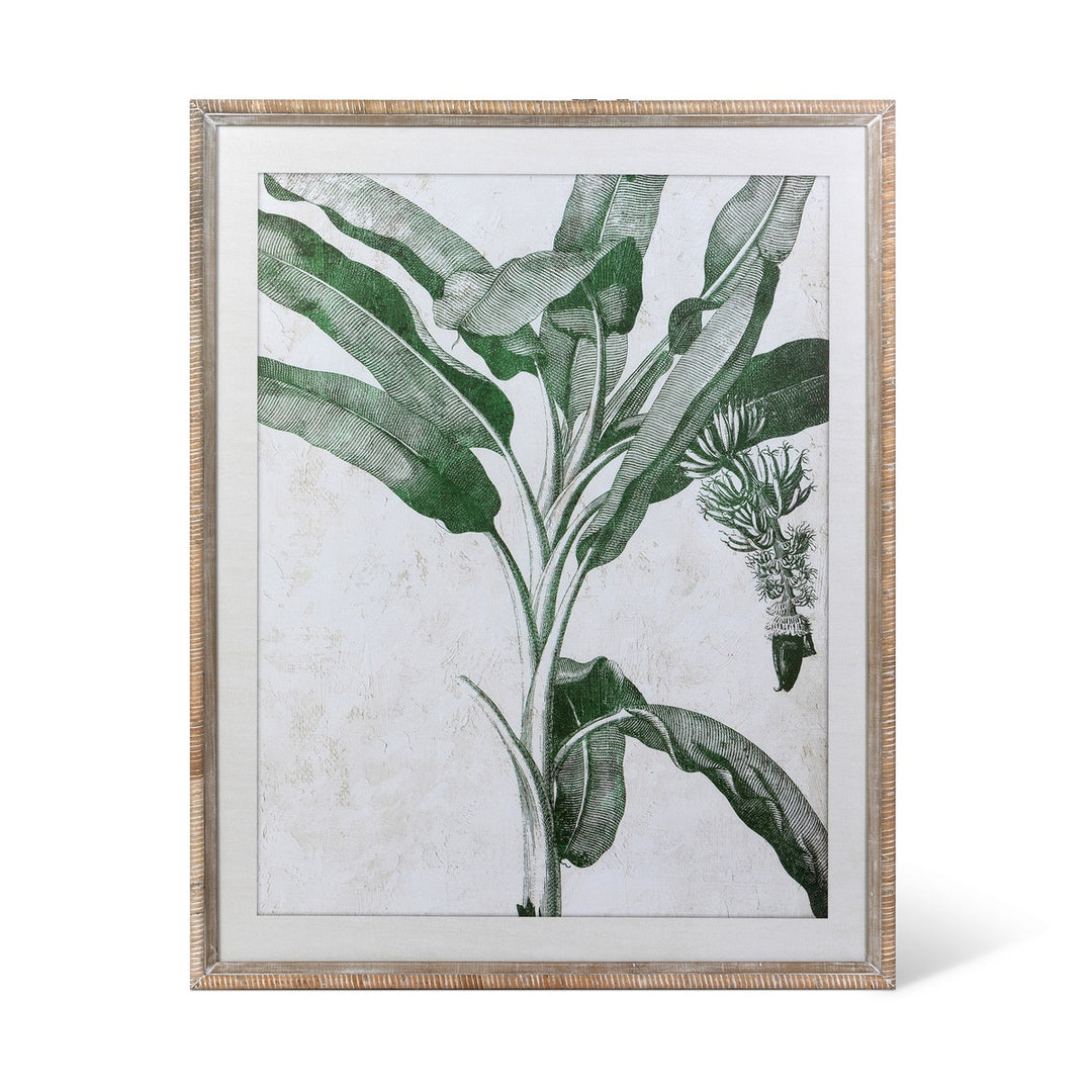 Blissful Banana Tree Framed Wall Art, 2 Assorted Styles