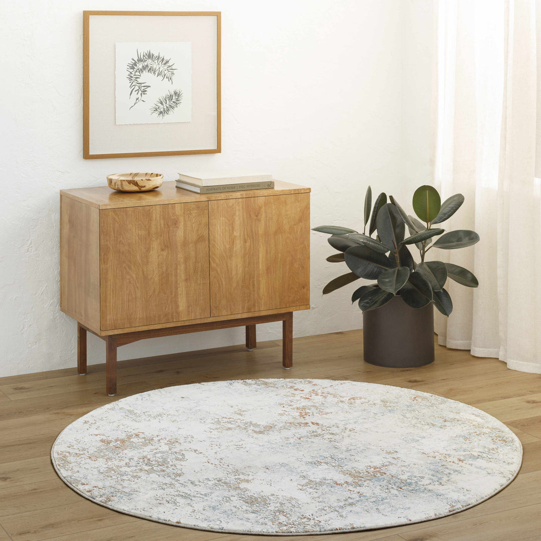 Wooden sideboard with decorative items in a room with a round rug and plant.

Dinos Luxe Rug
