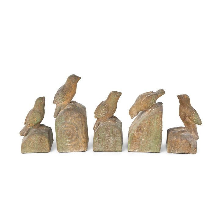 Song Bird Relics, Set of 5, Assorted Sizes