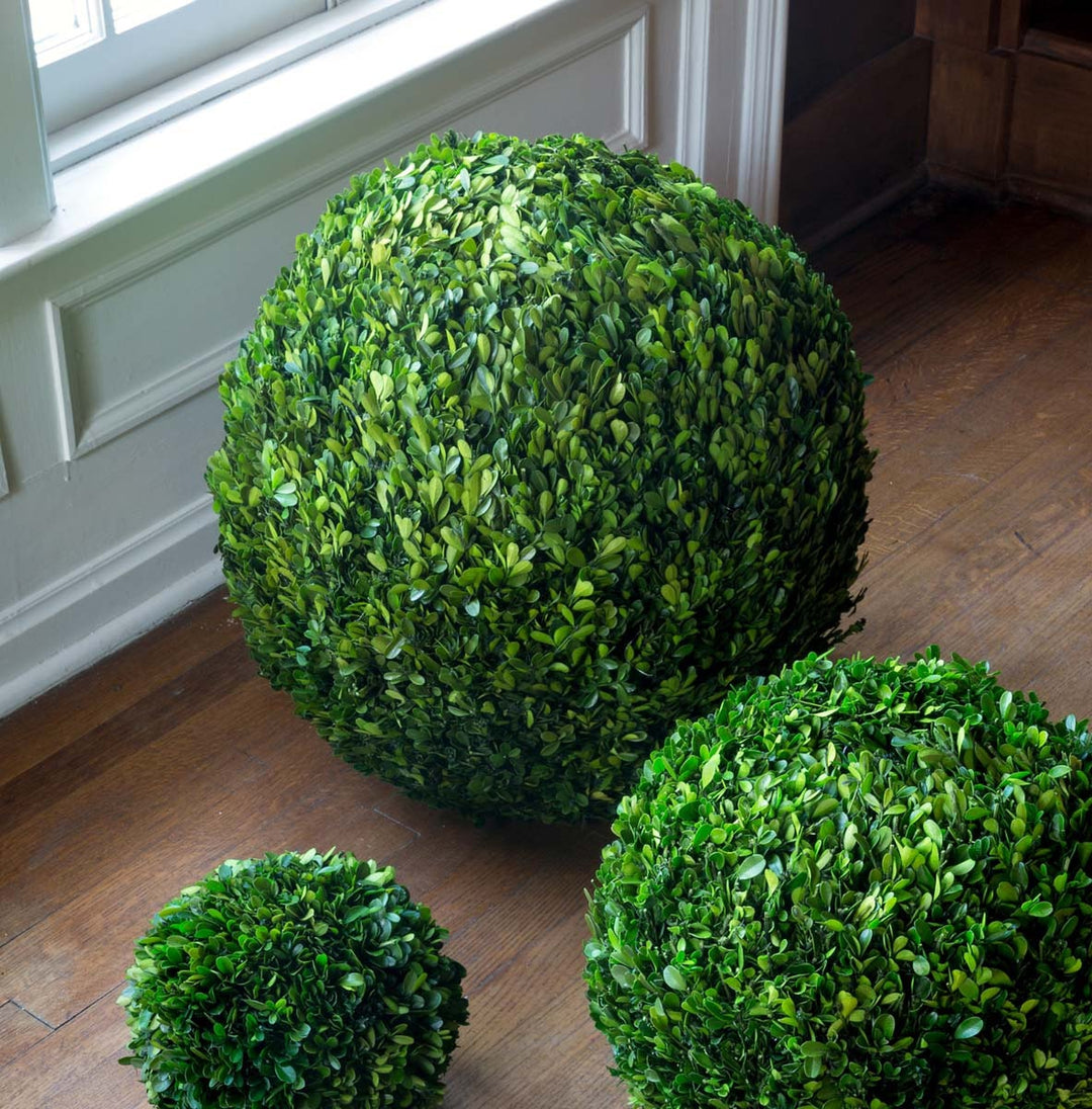Preserved Boxwood Ball, 21"