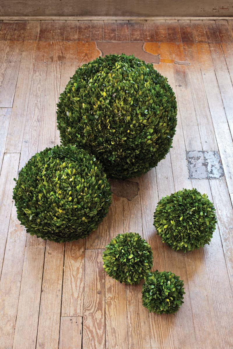 Preserved Boxwood Ball, 21"