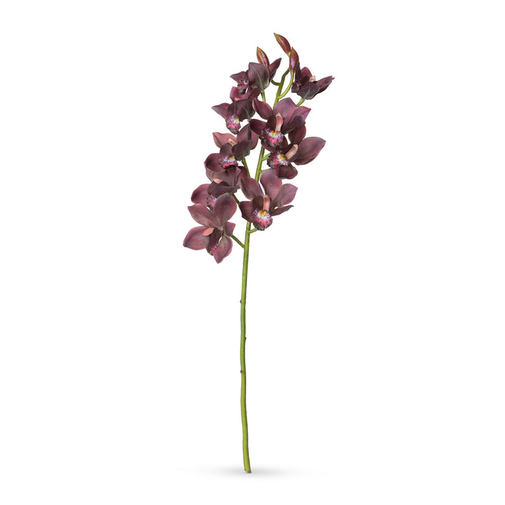 Cymbidium Orchid Stem, Mauve