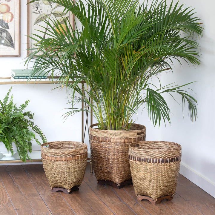Lombok Rattan Baskets, Set of 3