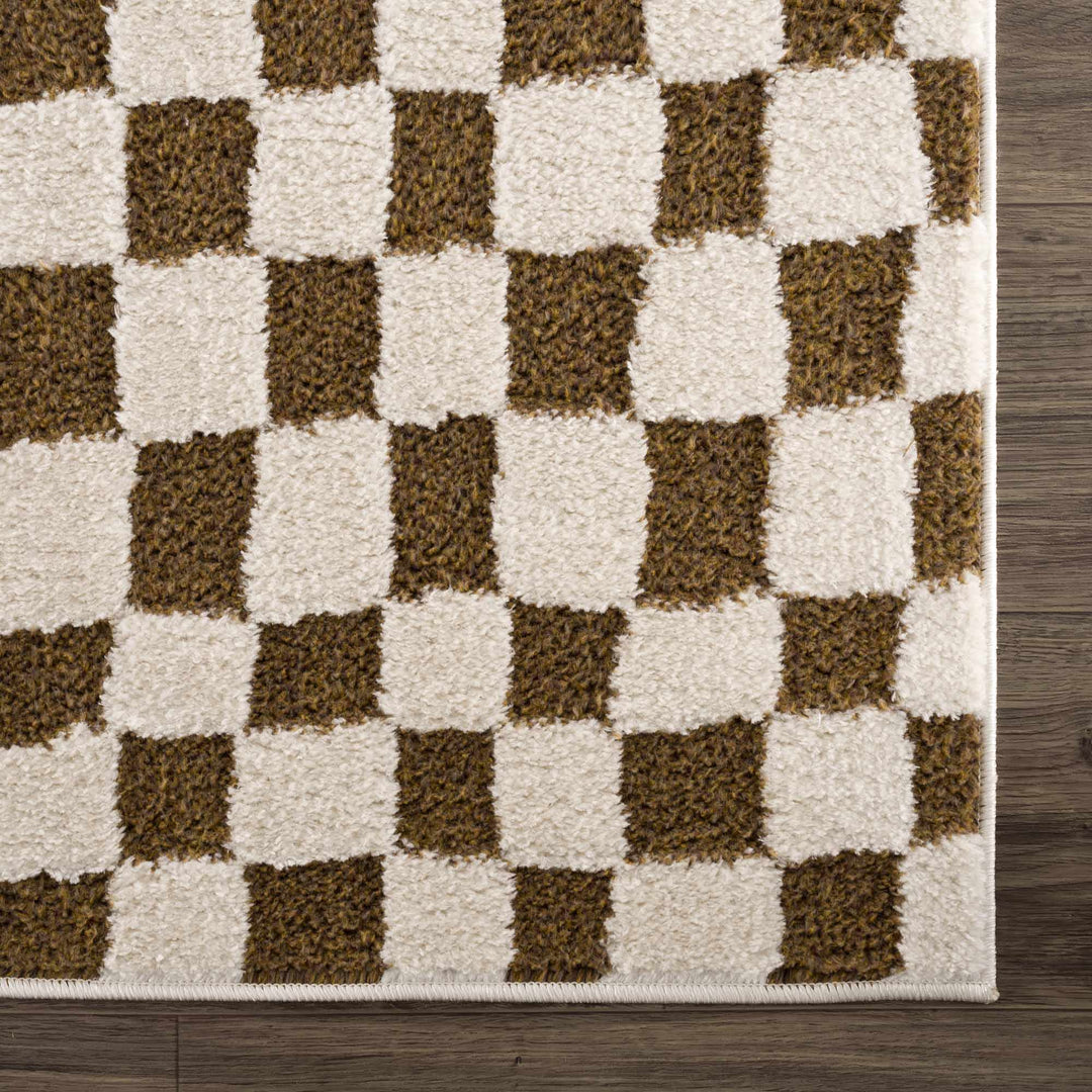 Lajos Brown Checkered Shag Rug