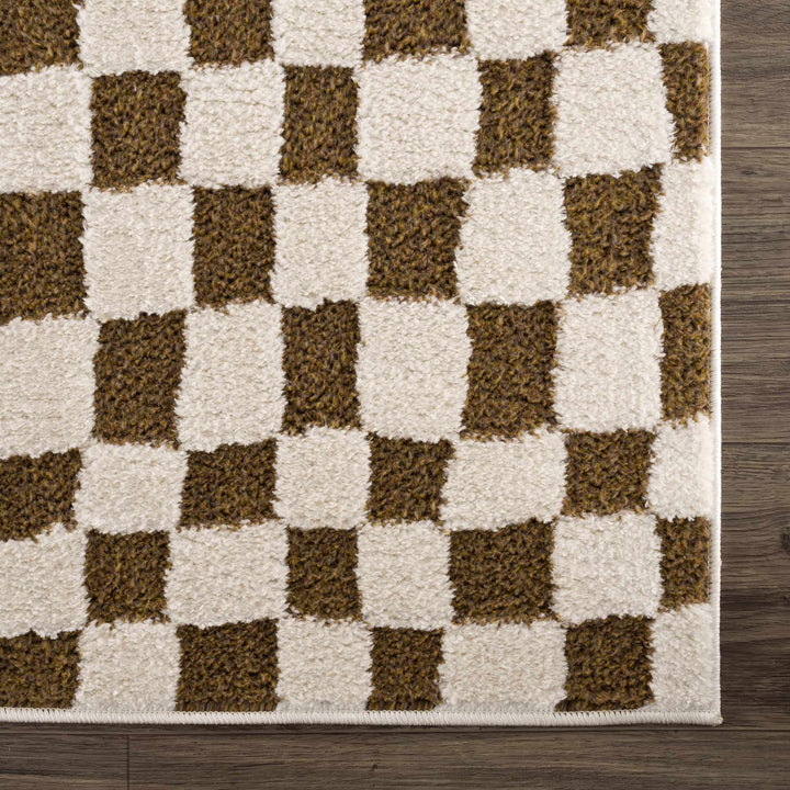 Lajos Brown Checkered Shag Rug