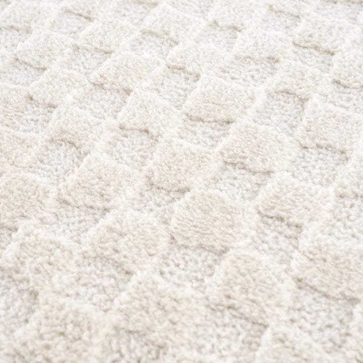 Leryn Ivory Checkered Area Rug