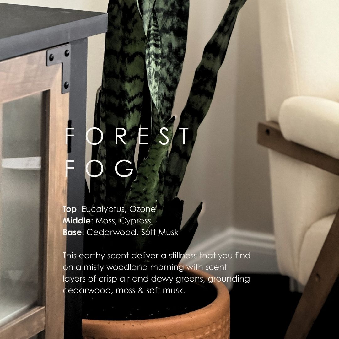 Forest Fog Room & Linen Spray