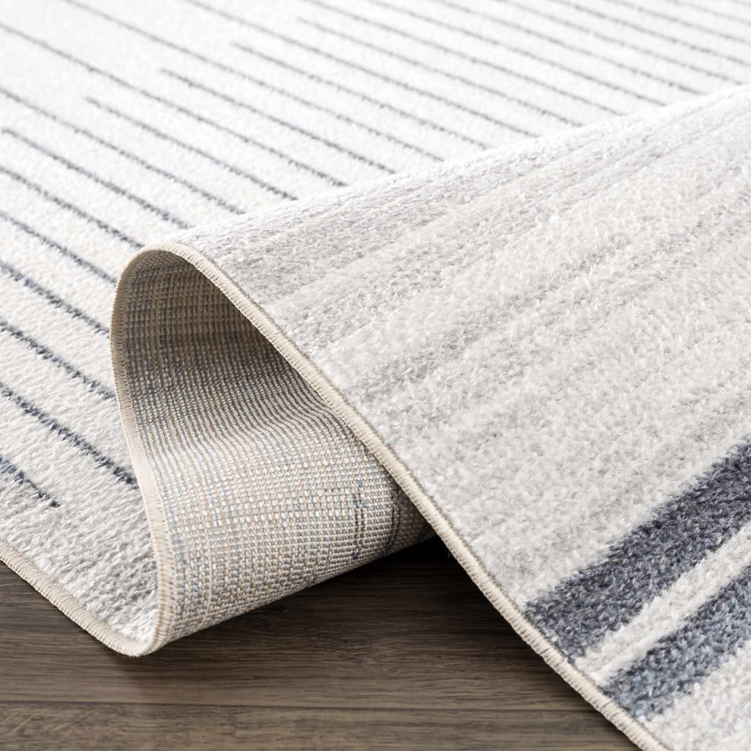 Thad Modern Washable Rug