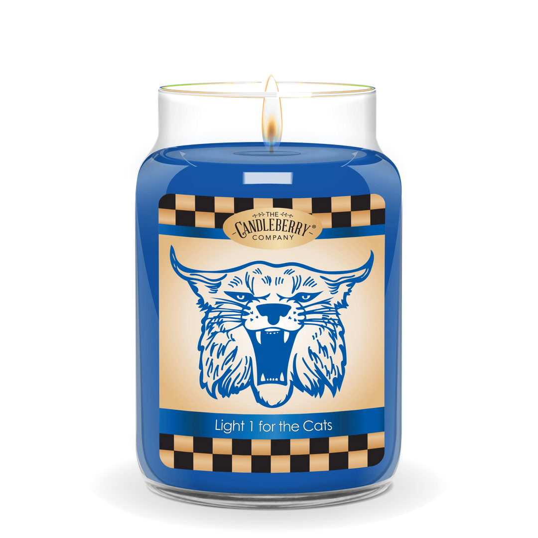 Light One For The Cats™, Large Jar Candle (Collective)