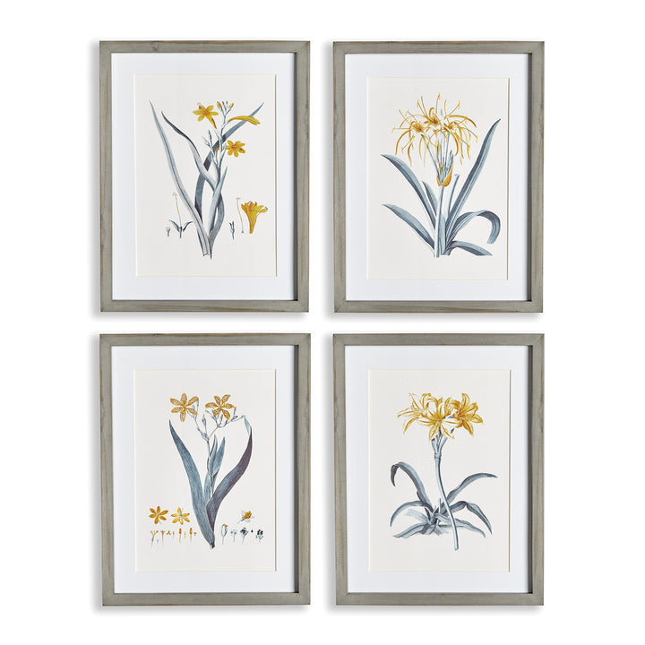 DAFFODIL PRINTS, SET OF 4