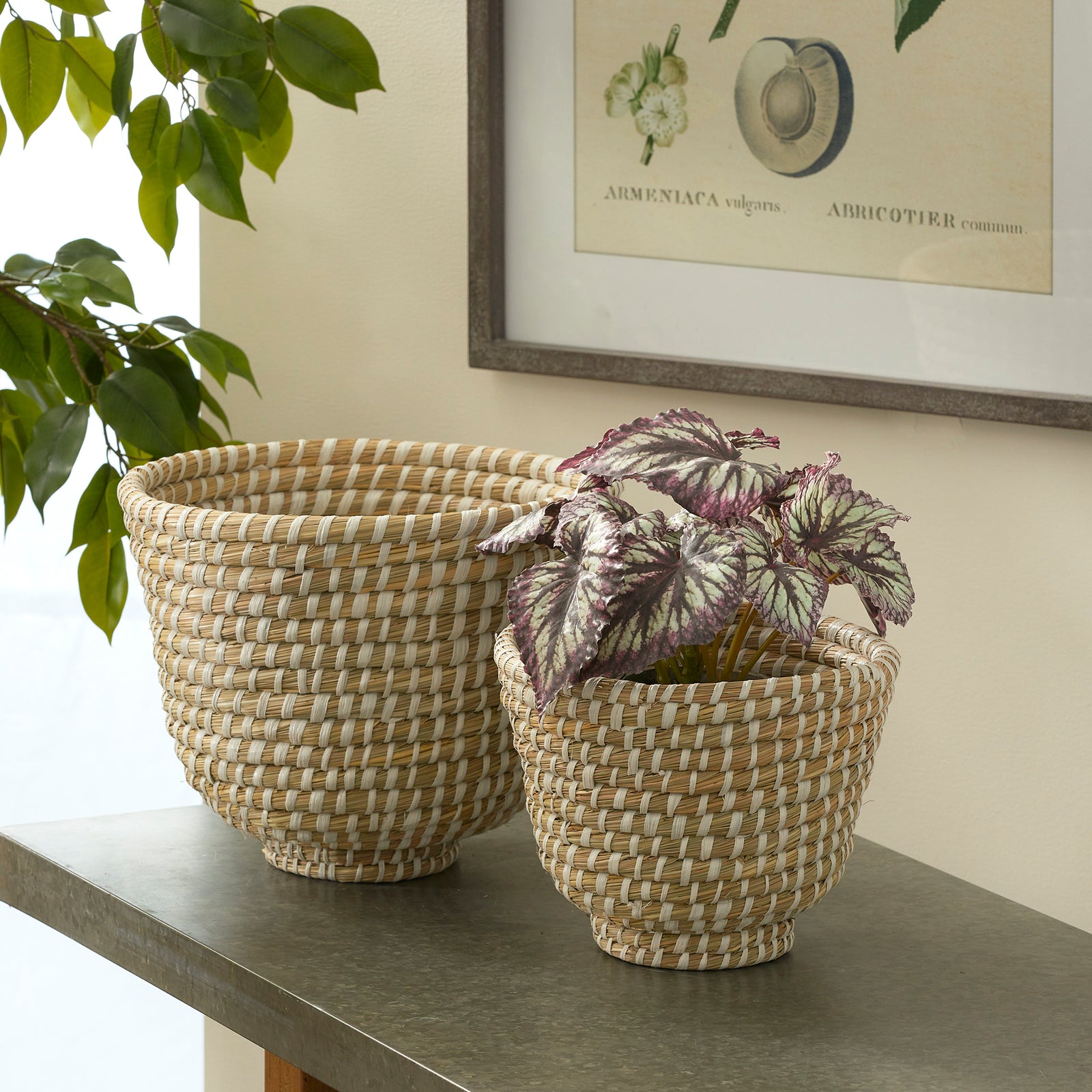 RIVERGRASS DECORATIVE FOOTED BOWLS, SET OF 2