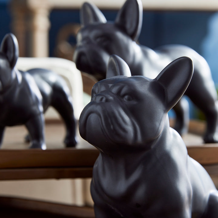 THREE DOG NIGHT, SET OF 3 - Black