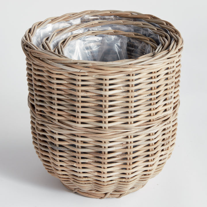 Arlette Basket Planters