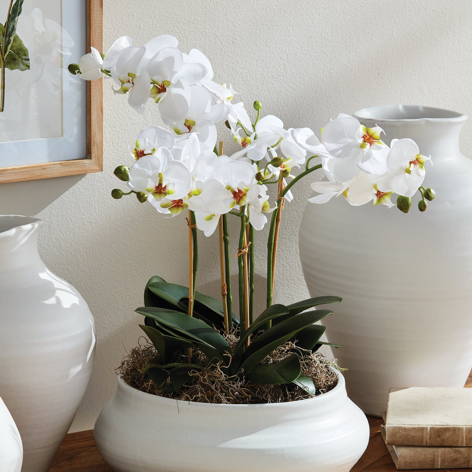 PHALAENOPSIS ORCHID BOWL DROP-IN 20"