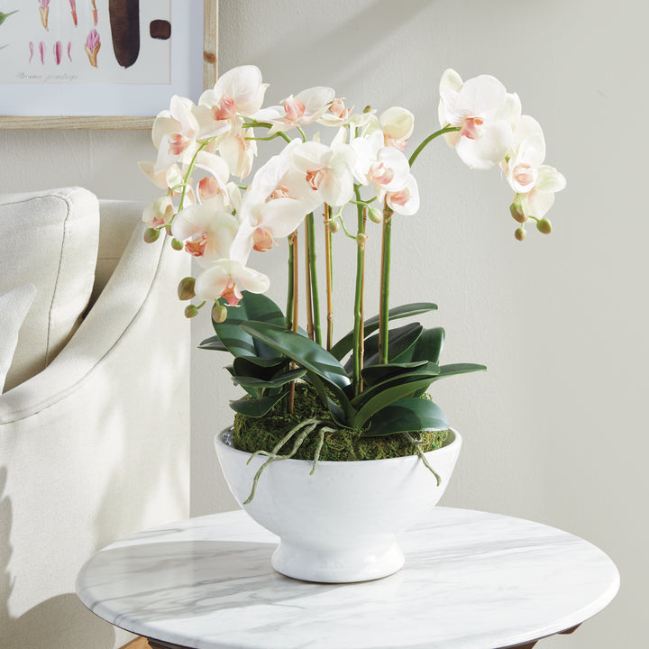 PHALAENOPSIS ORCHID BOWL DROP-IN 18.5" - Blush