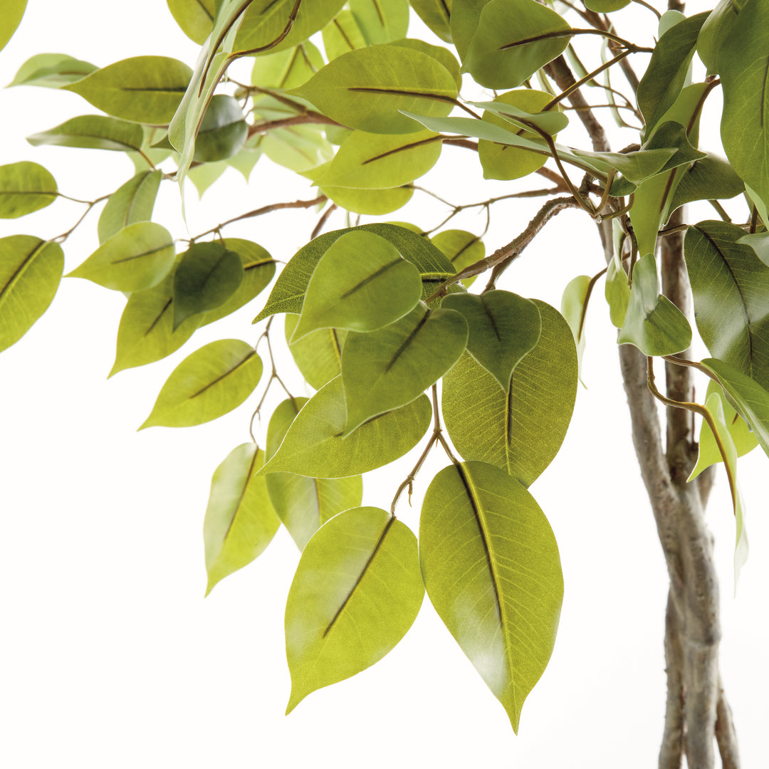 FICUS TREE DROP-IN 51"