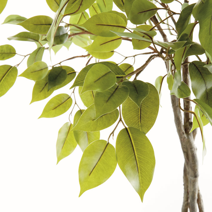 FICUS TREE DROP-IN 51"