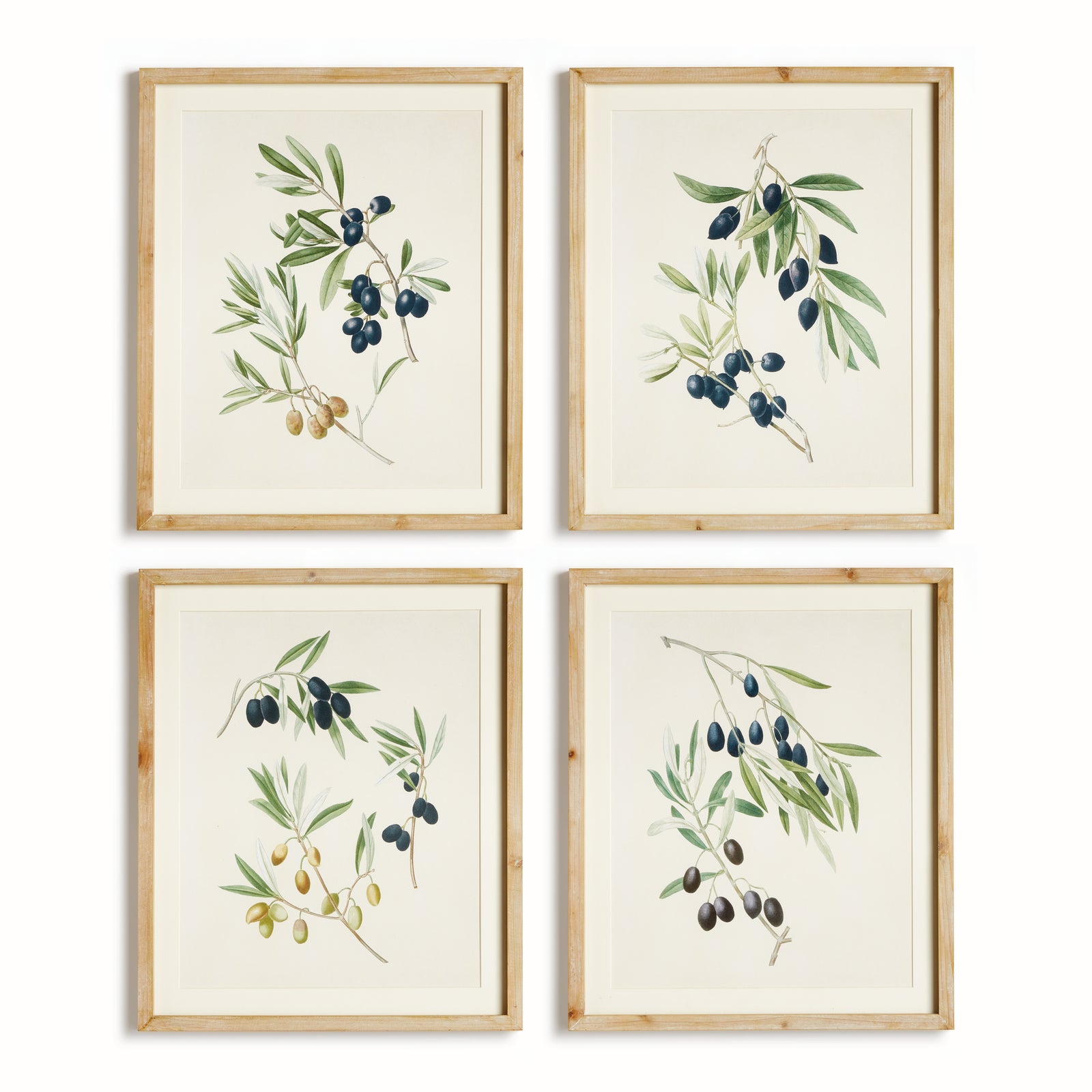 OLIVE STEMS STUDY, SET OF 4