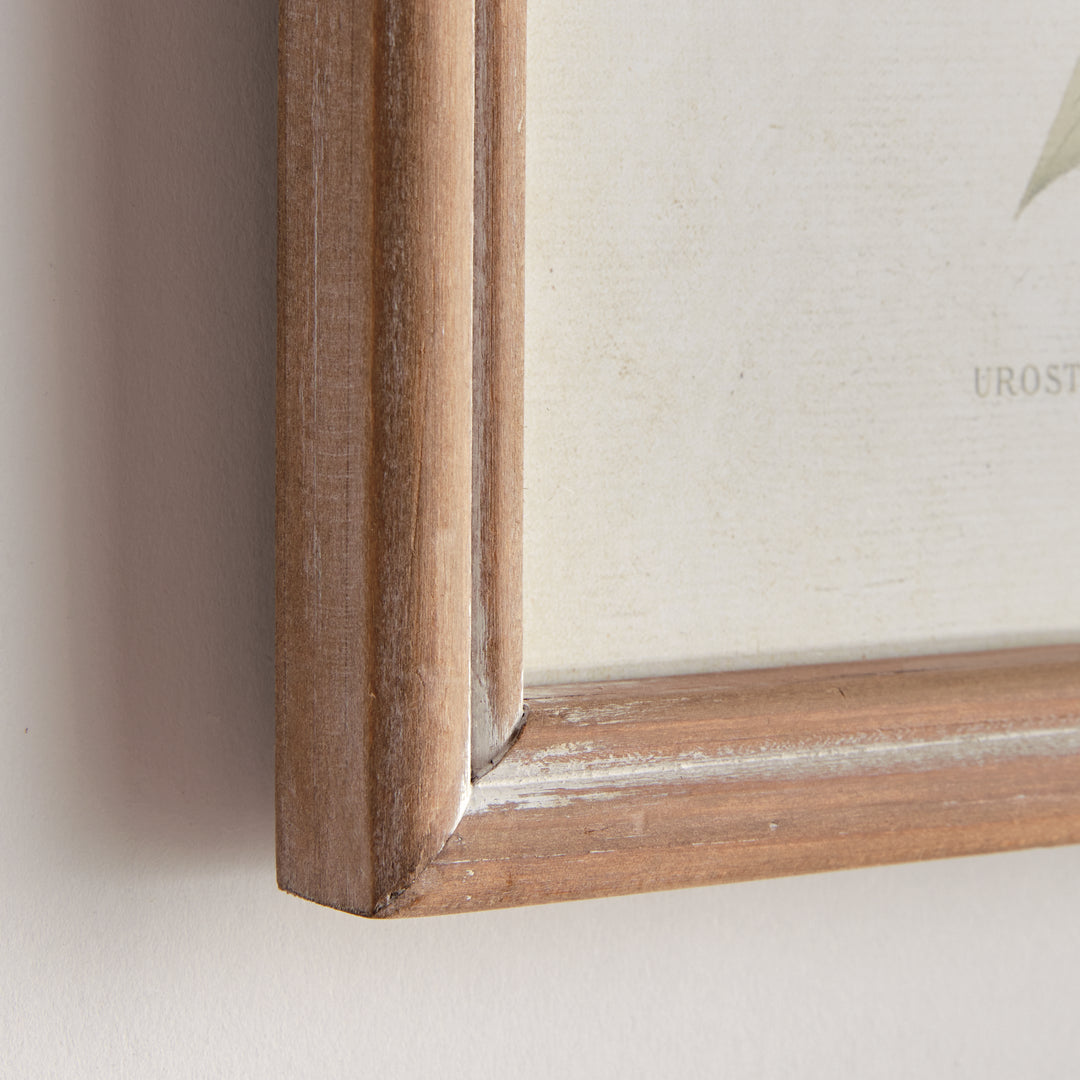 HUMMINGBIRDS IN BLOOMS STUDY, SET OF 8