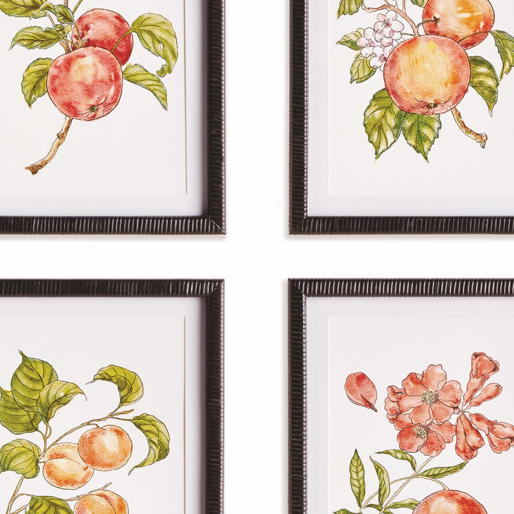 AUTUMNAL FRUIT PRINTS, SET OF 4