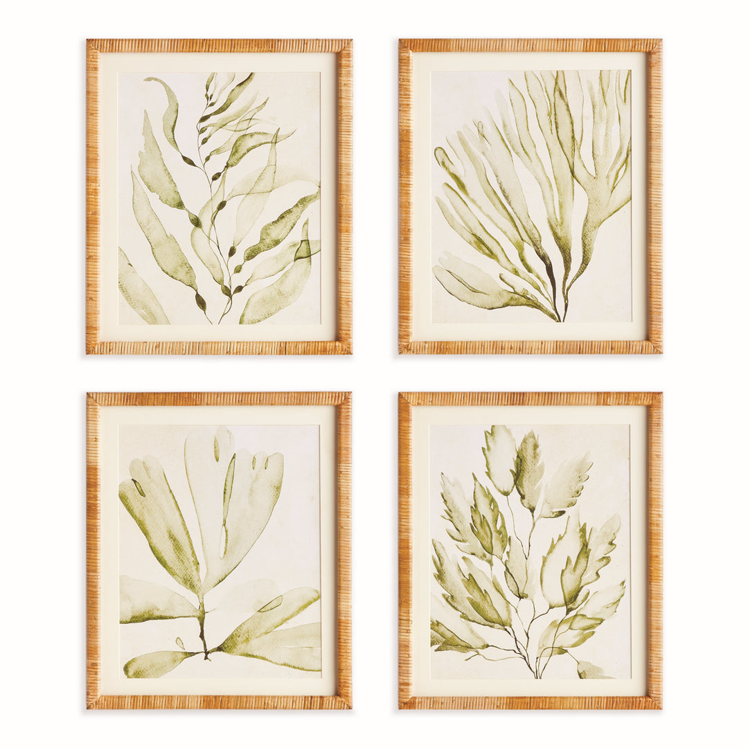 COASTAL GREENERY PRINTS, SET OF 4
