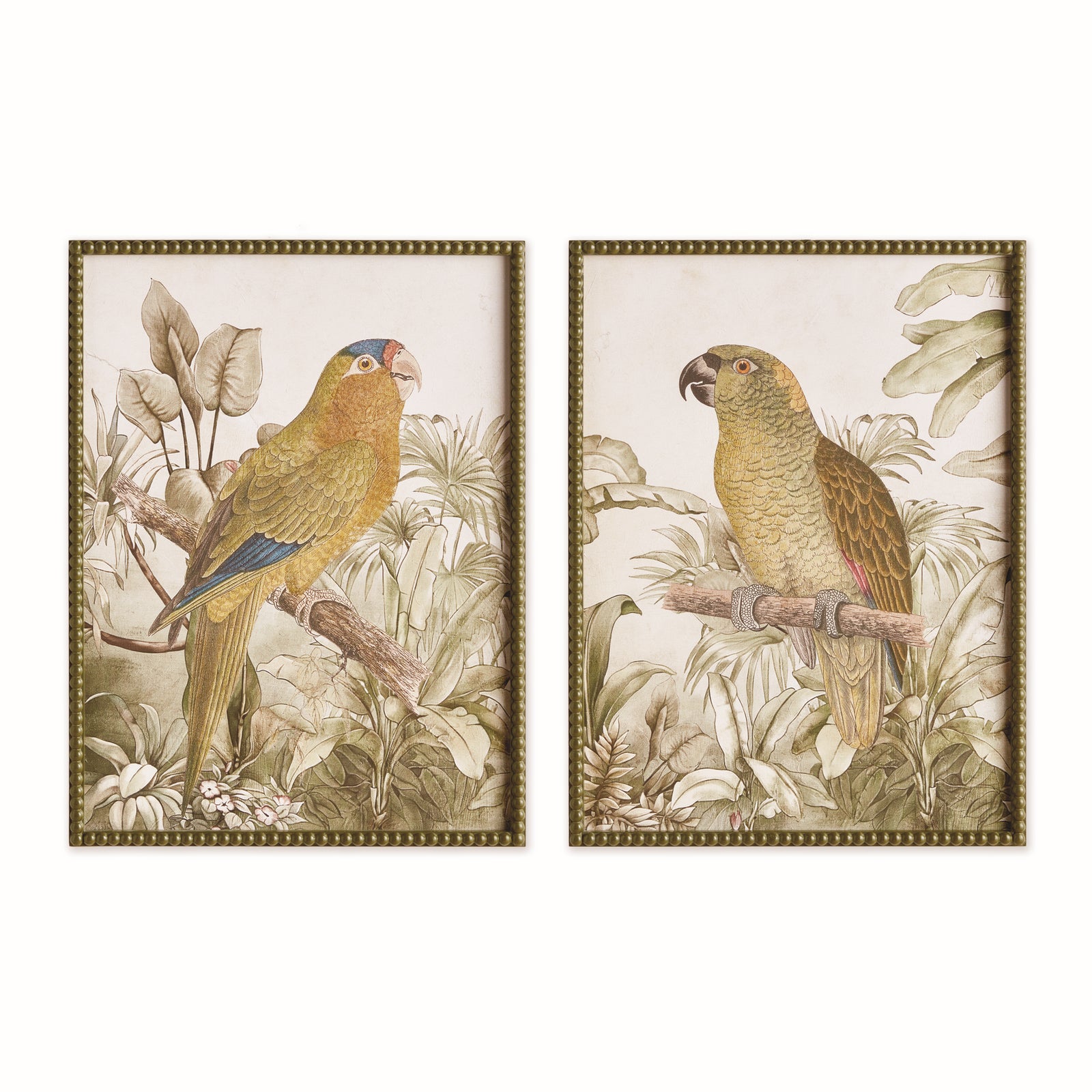 TROPICAL PARROT PRINTS, SET OF 2