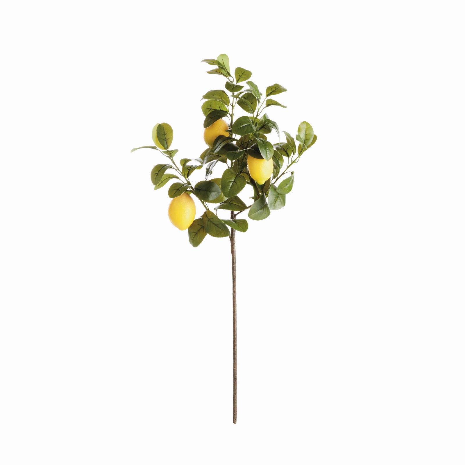 FAUX LEMON STEMS 31", SET OF 4