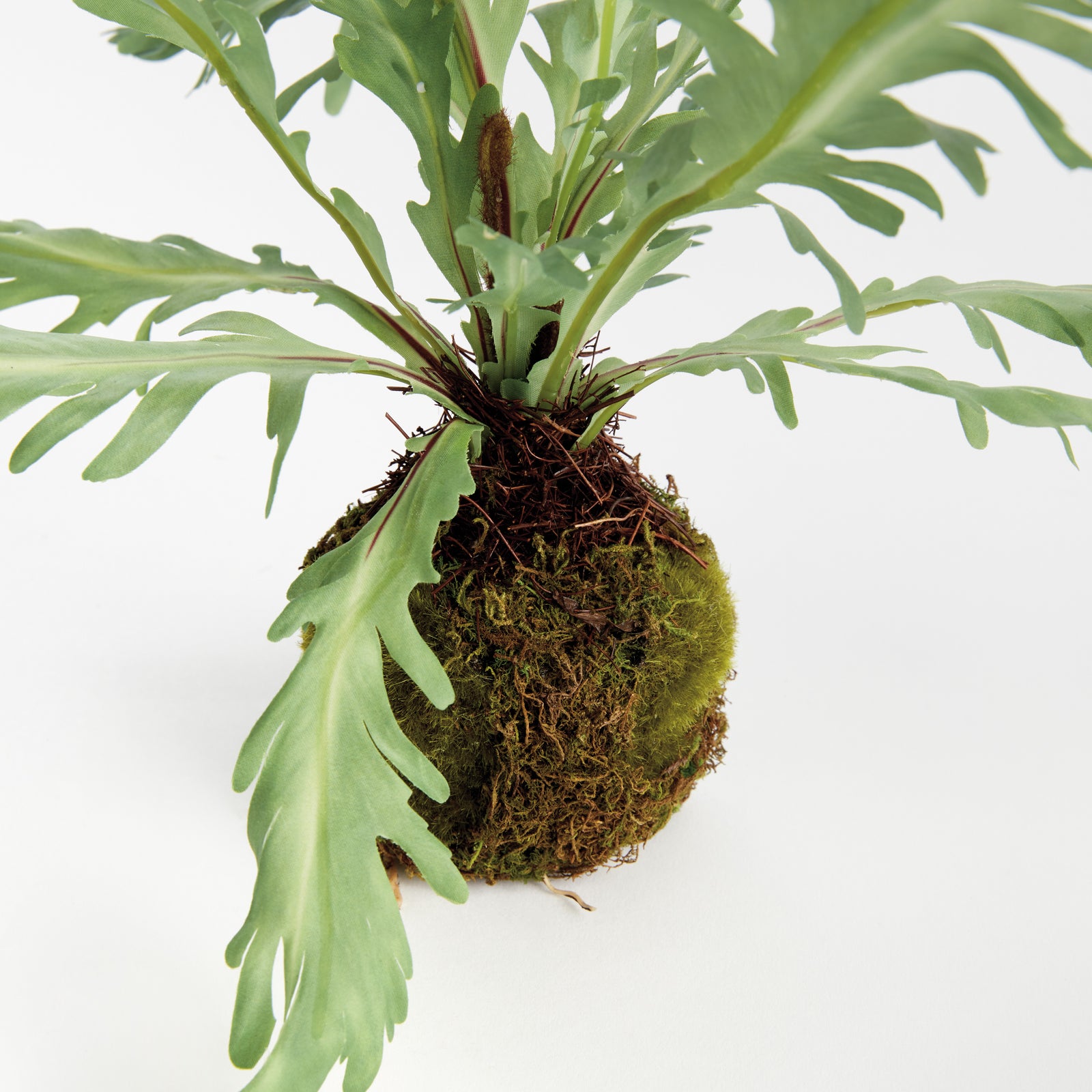 RABBIT FOOT DROP-IN 9"