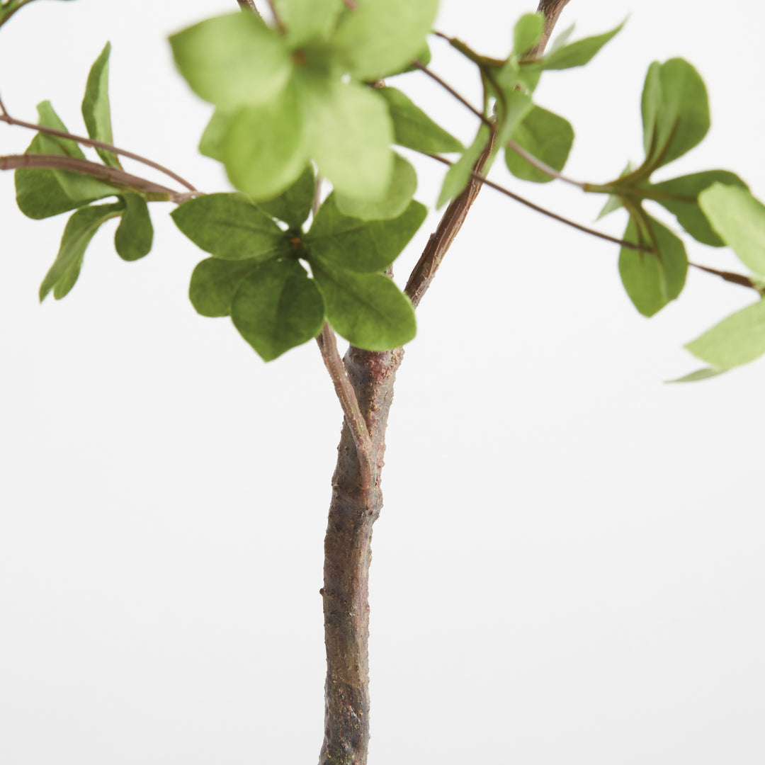 SHADY LADY BLACK OLIVE BRANCHES 56", SET OF 2