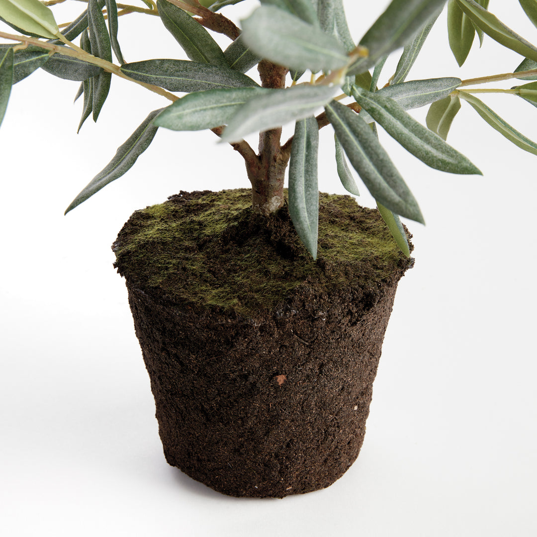 OLIVE TREE DROP-IN 26"