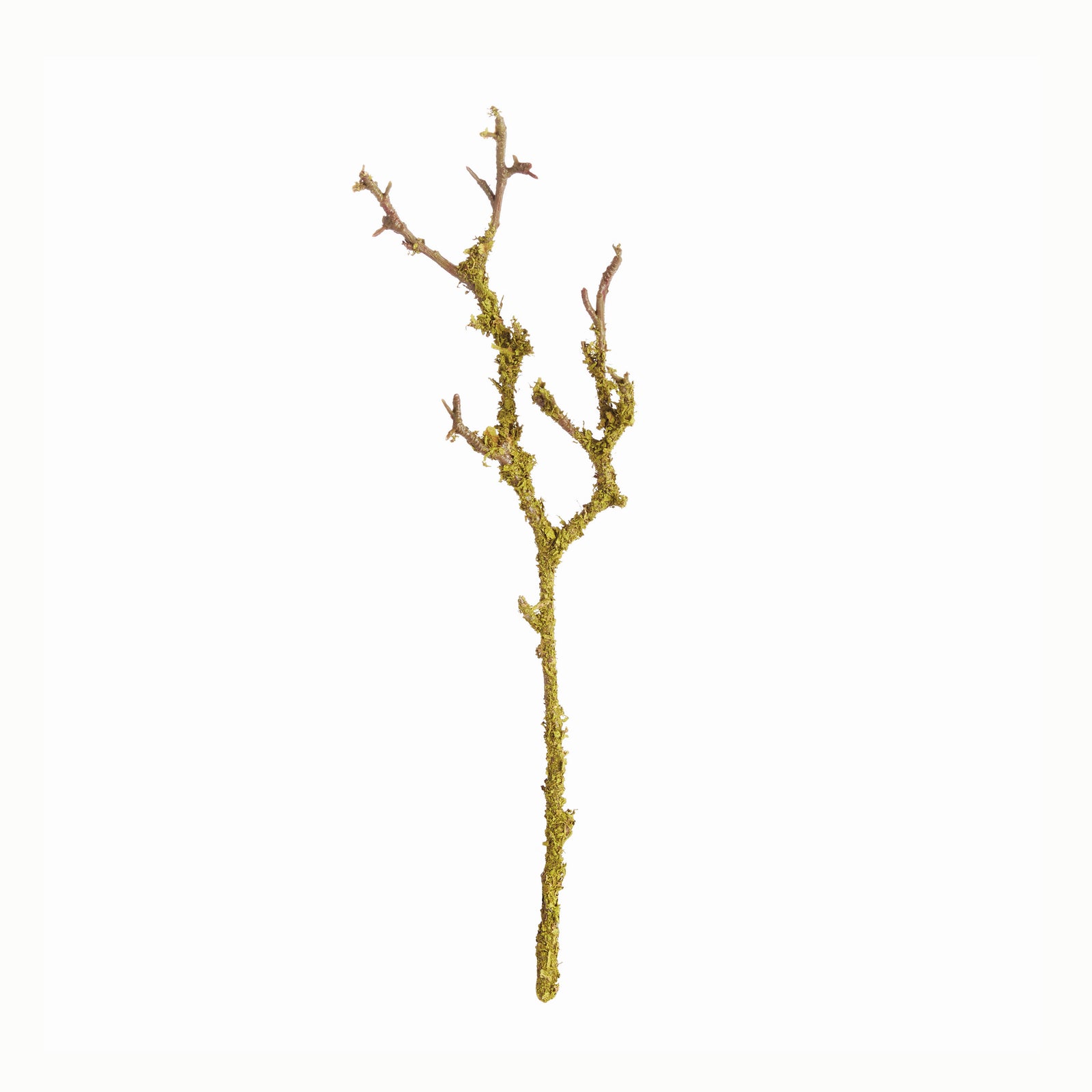 LICHEN BRANCHES 17", SET OF 6