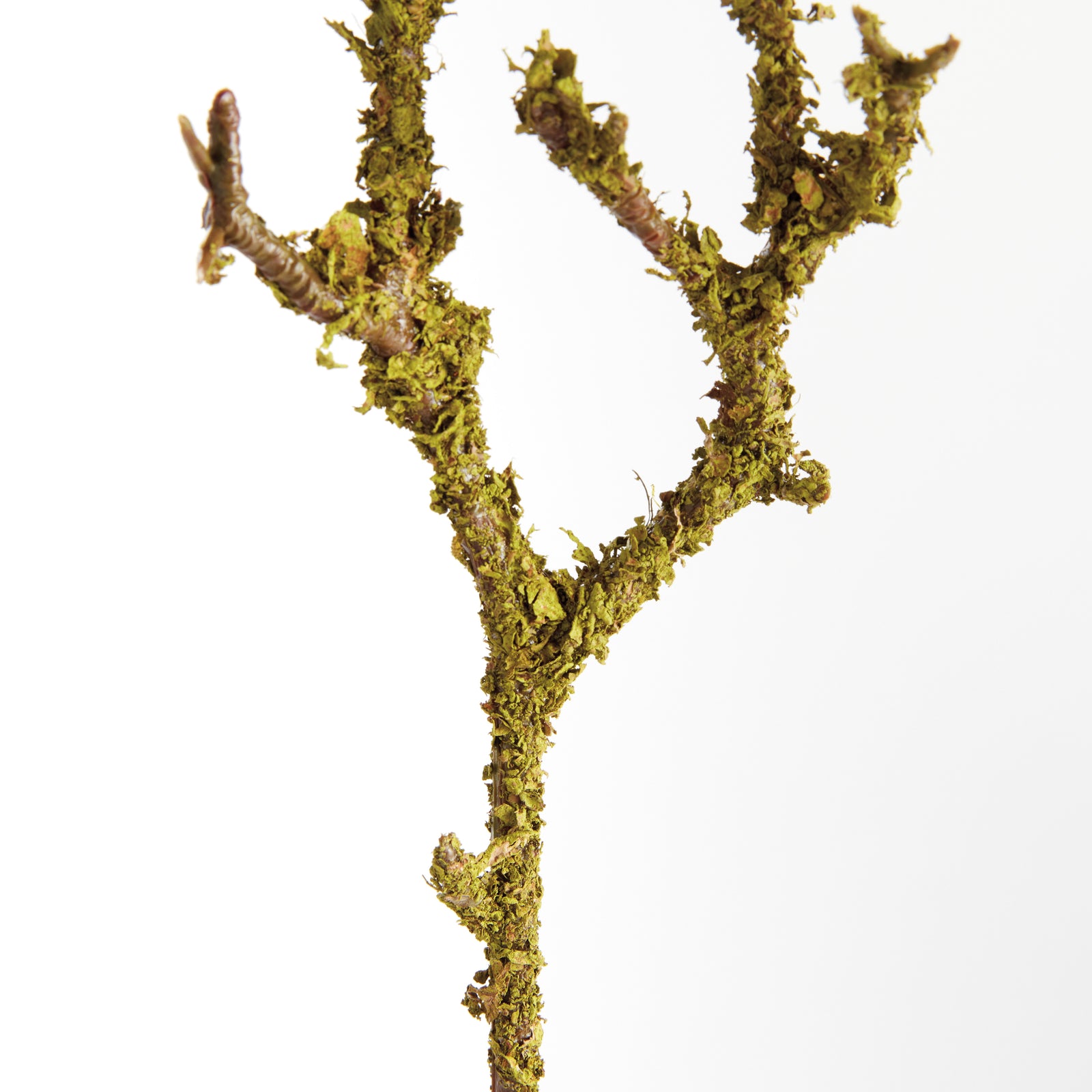 LICHEN BRANCHES 17", SET OF 6