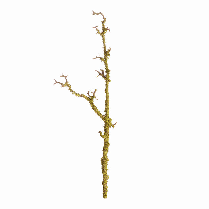 LICHEN BRANCHES 28", SET OF 2