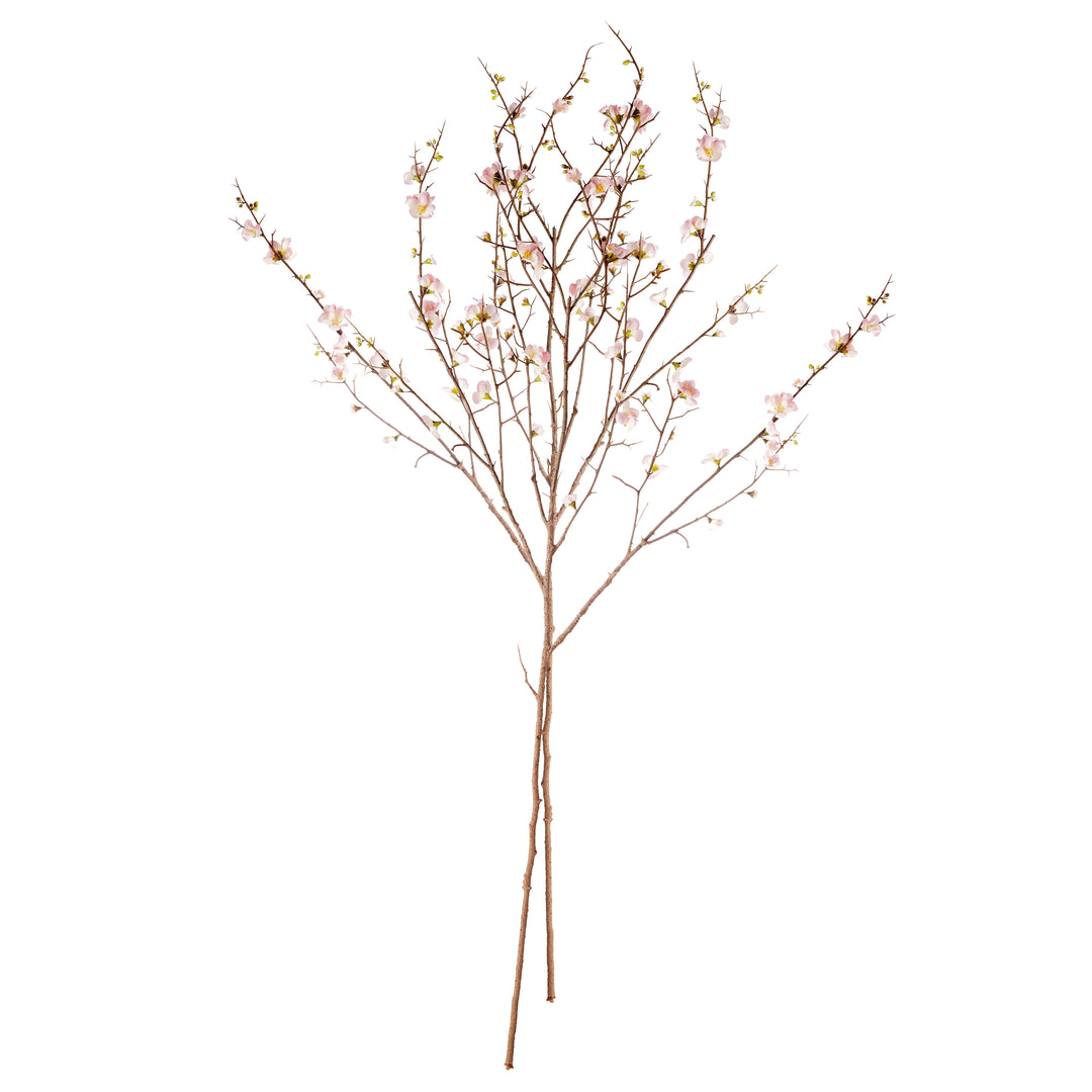 PINK QUINCE BLOSSOM BRANCHES 54", SET OF 2