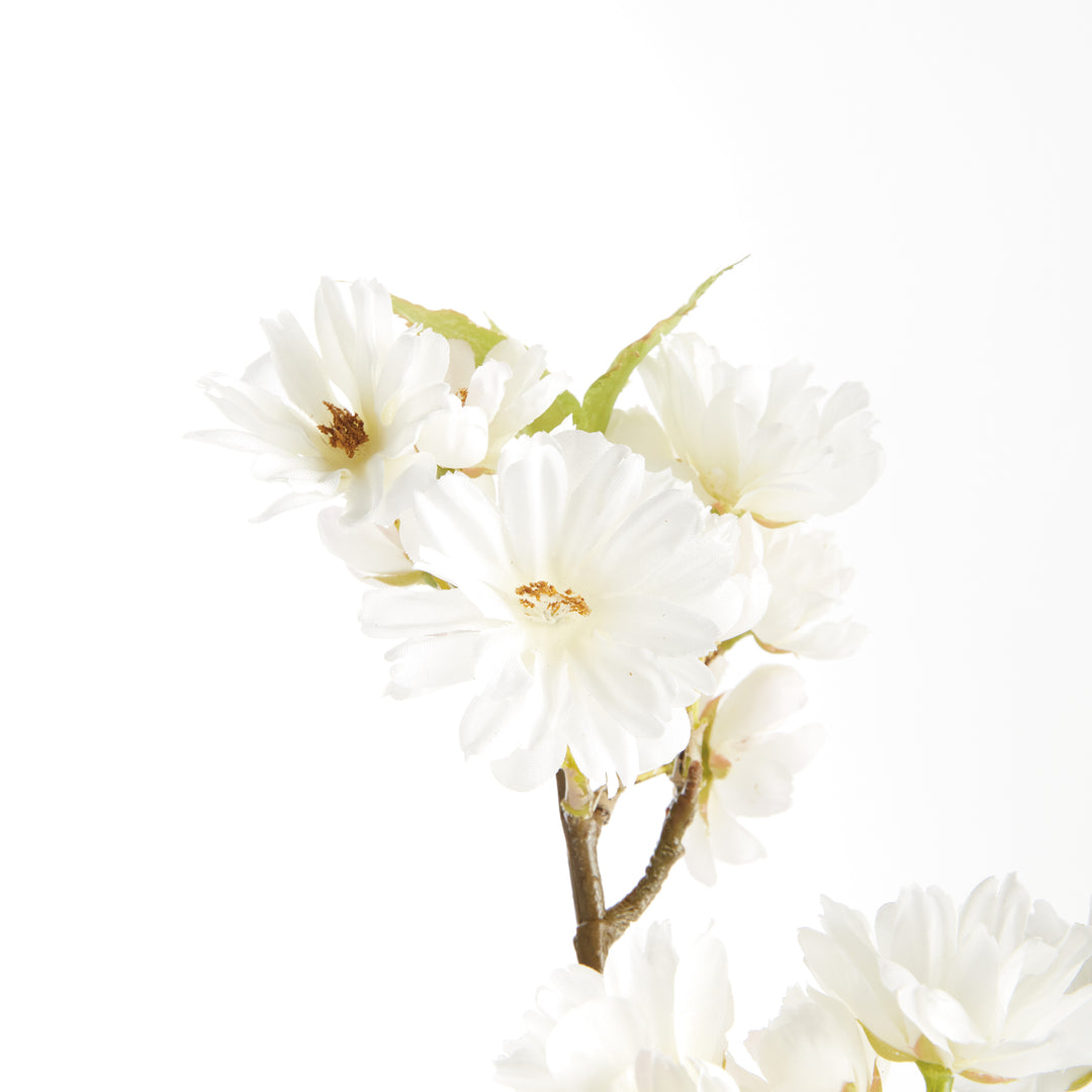DOUBLE CHERRY BLOSSOM STEMS 28", SET OF 6 - White