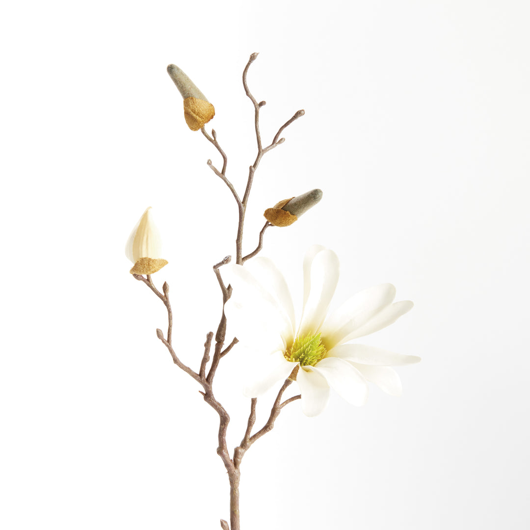 STAR MAGNOLIA STEMS 18", SET OF 6