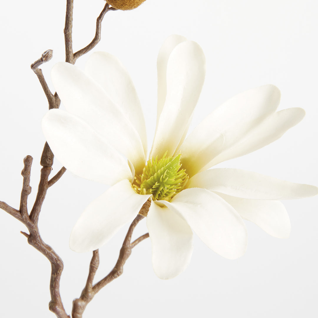 STAR MAGNOLIA STEMS 18", SET OF 6