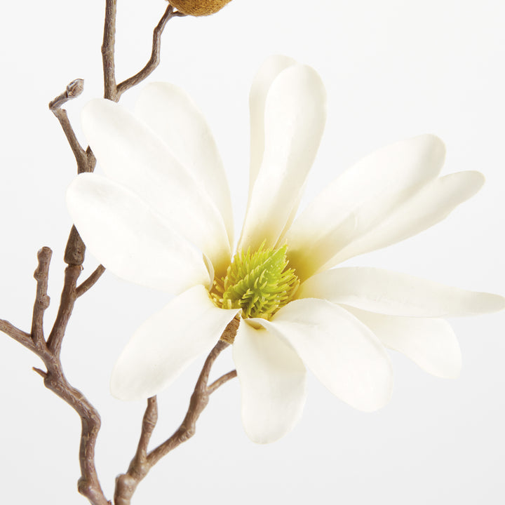 STAR MAGNOLIA STEMS 18", SET OF 6