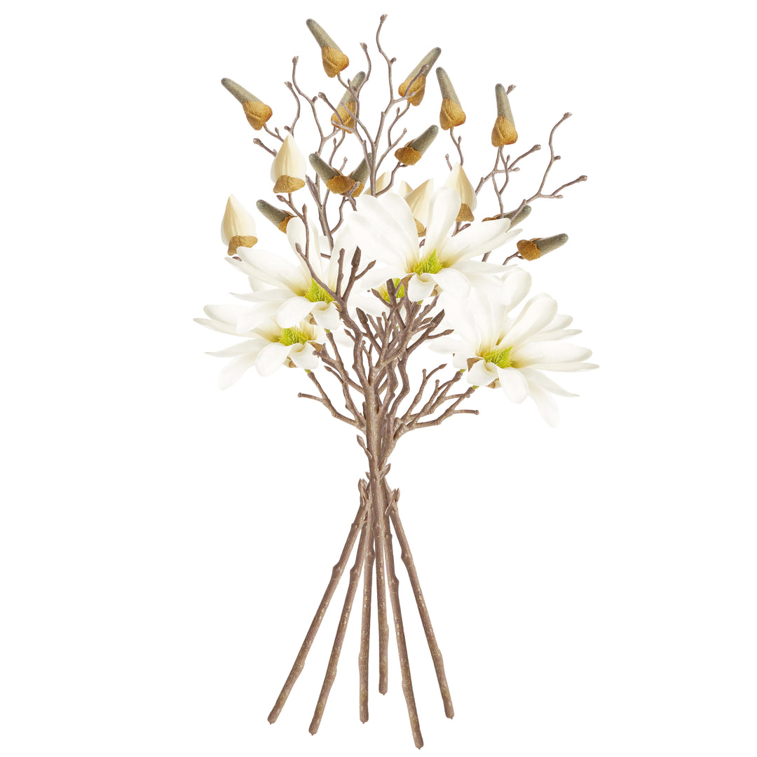 STAR MAGNOLIA STEMS 18", SET OF 6