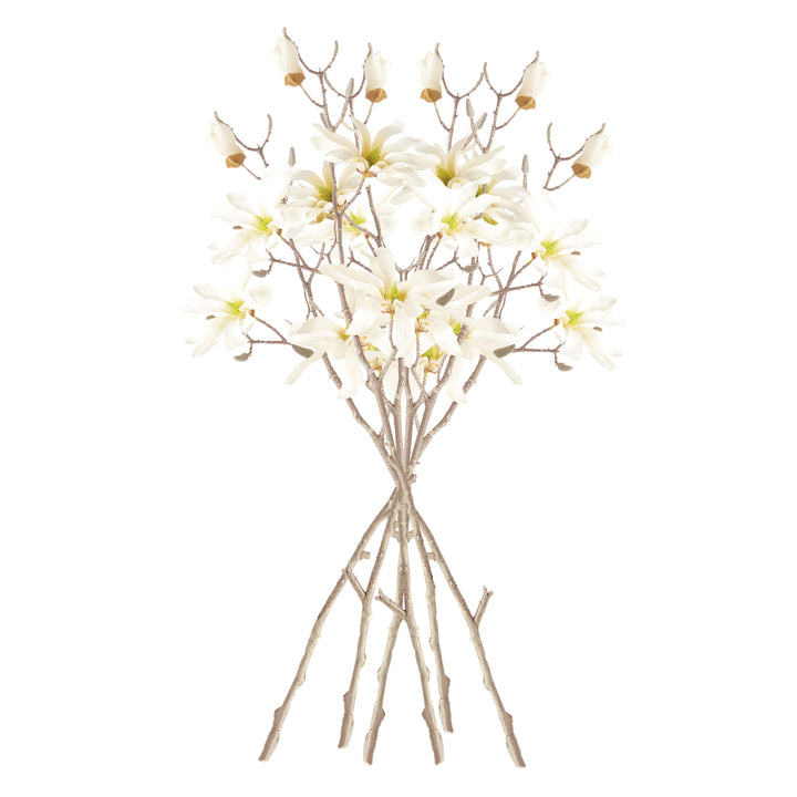 STAR MAGNOLIA BRANCHES 32", SET OF 6