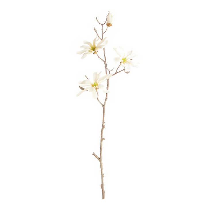 STAR MAGNOLIA BRANCHES 32", SET OF 6